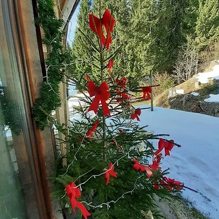 Apartmán Dolomiti