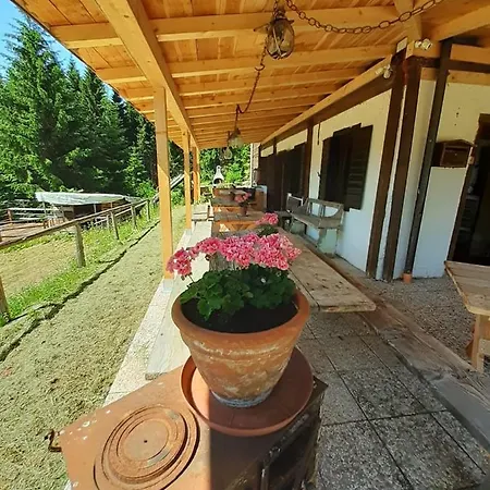 Dolomiti