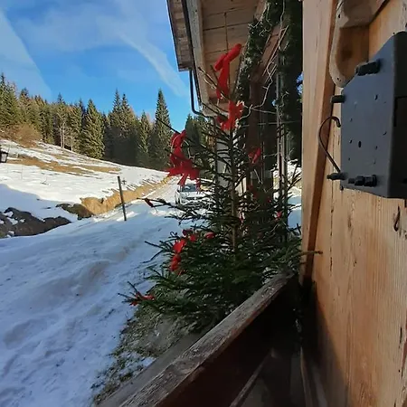 Dolomiti Apartmán