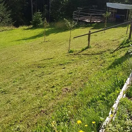 Dolomiti Danta