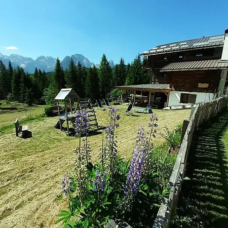 Dolomiti Lägenhet Danta