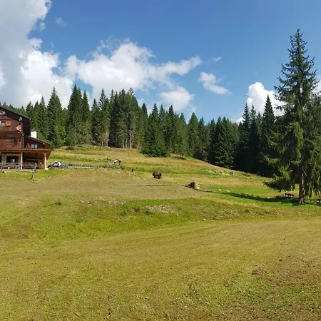 Lägenhet Dolomiti *